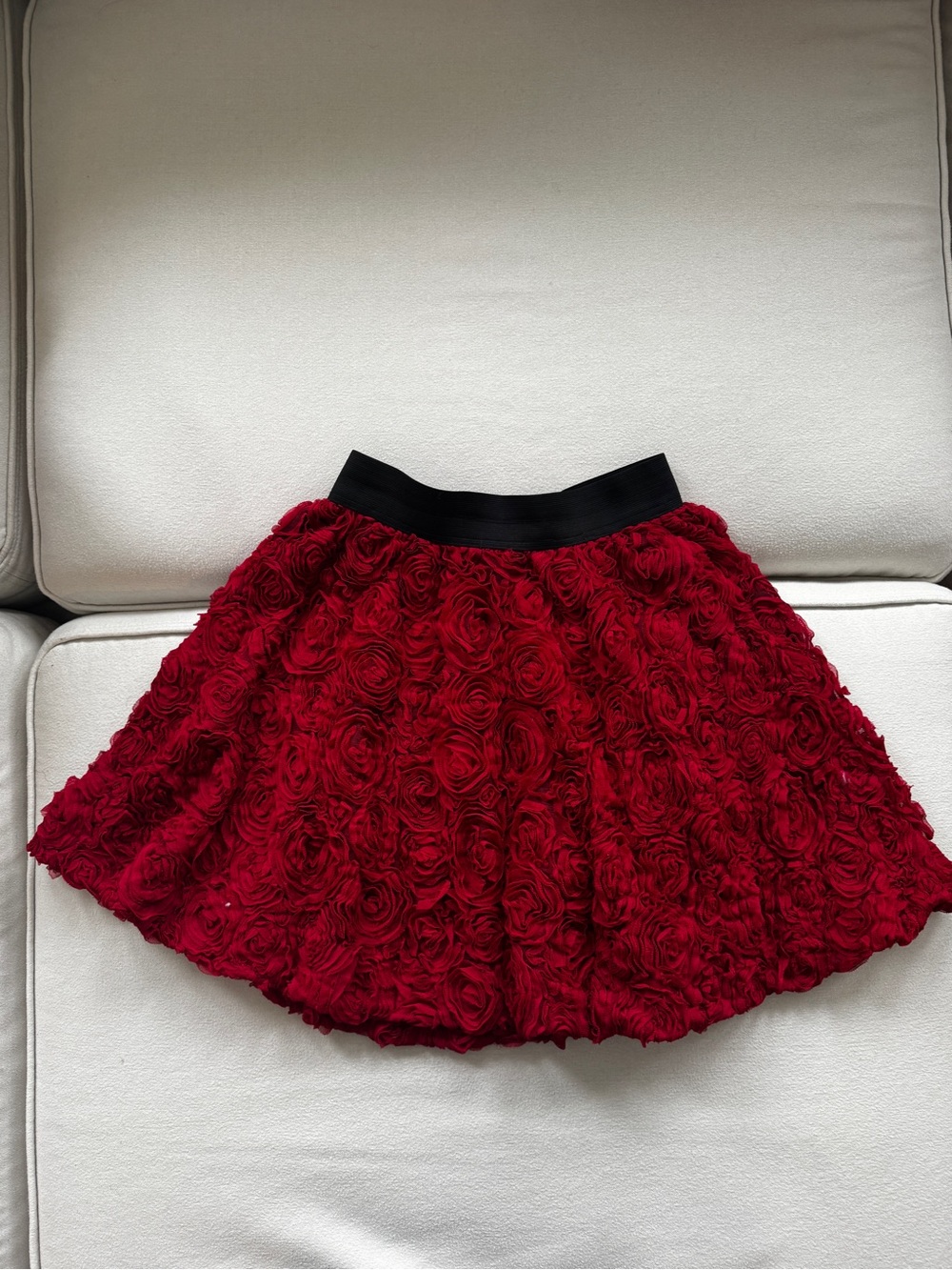 Coquette/lolita/whimsical Red 3D Rose A-Line Skirt